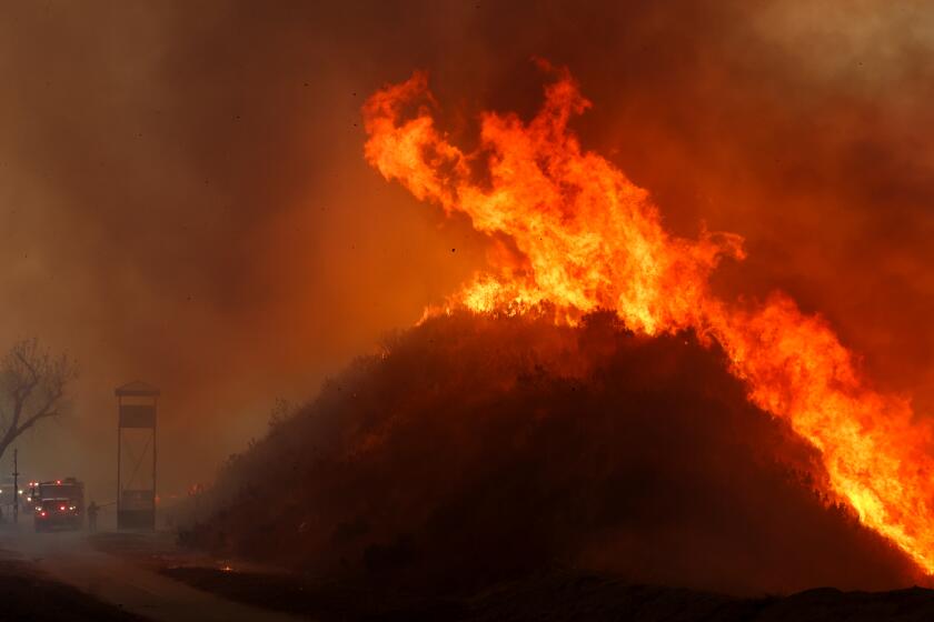 CASTAIC, CA - JANUARY 22: Firefighters work on the Hughes fire on Wednesday, Jan. 22, 2025 in Castaic, CA. The fire started north of Castaic and has exploded to more than 5,000 acres in under two hours. (Wally Skalij / Los Angeles Times)