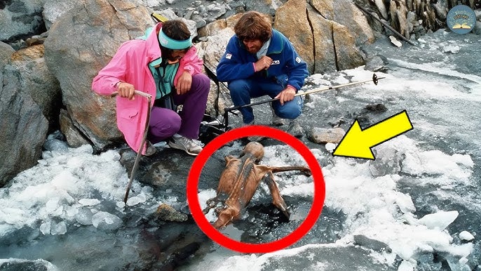 Họ Tìm Thấy Thứ Bị Đóng Băng Trong Băng Mà Không Ai Được Phép Nhìn Thấy | TUYỆT MẬT TV - YouTube