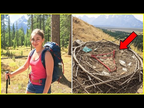 Young Hiker Vanished on Grand Teton, 9 Months Later Ranger Finds This Inside Eagle's Nest… - YouTube